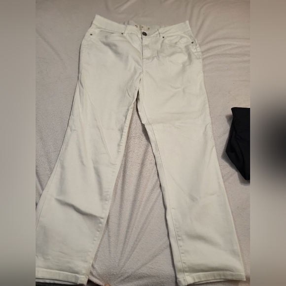 Size 12 Women's Pants Lot (& Bonus Pair) - Picture 4 of 9